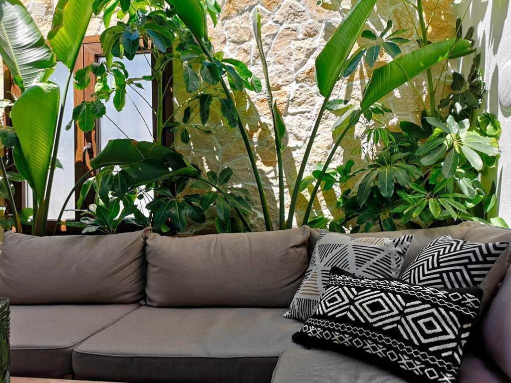 Casa Rural Albireo Rebosante De Luz Y Naturaleza Sanlúcar de Guadiana Eksteriør billede